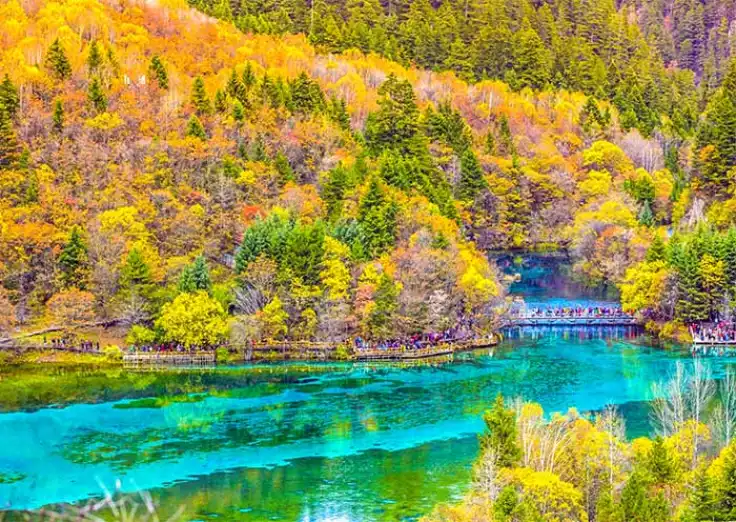 نکات مهم در سفر به چین در فصل پاییز که باید بدانید